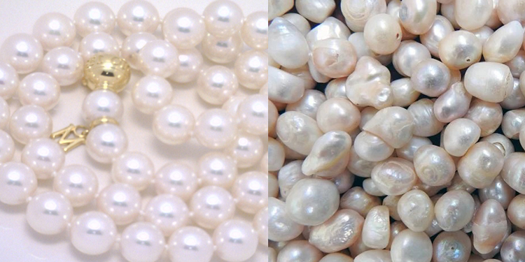 Akoya vs. Freshwater Pearls